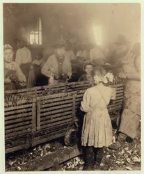 Fábrica de Lowden Canning Company, Bluffton, Carolina del Sur, mostrando a una niña de 7 años que pela 3 potes de ostras al día con su hermano de 6 años y un niño de 11 años que pela 6 potes, 1913